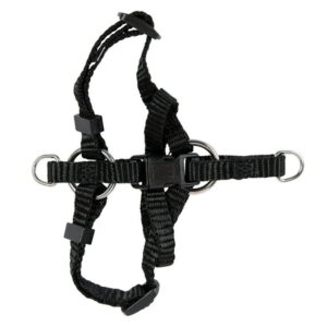 Adjustable Step-In Cat Harness with Buckle – Black