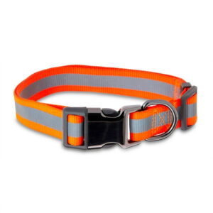 Reflective Adjustable Nylon Dog Collar with Buckle – Orange