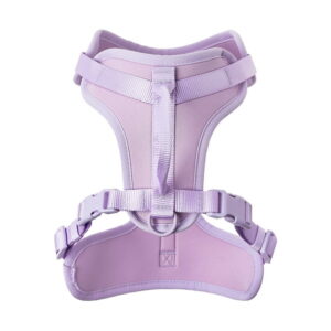 Neoprene Adjustable Dog Harness with Buckle – Lavender