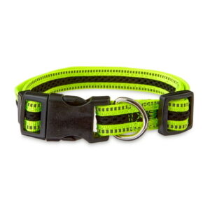 Reflective Adjustable Dog Collar with Buckle – Neon Yellow & Black
