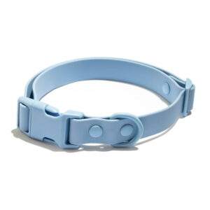 Water-Resistant Adjustable Dog Collar with Buckle – Blue